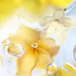 Femme Lancôme Eau De Toilette^Ô de ô Zenith