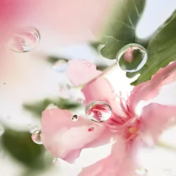 Femme Lancôme Eau De Toilette^Ô de Ôver The Top