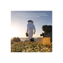 Guerlain Mains & Pieds^Abeille Royale