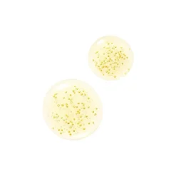 Guerlain Visage^Abeille Royale