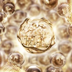 Lancôme Visage^Absolue