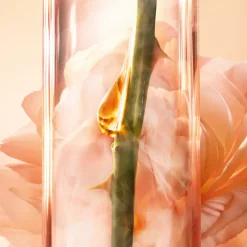 Lancôme Visage^Absolue Sérum Yeux