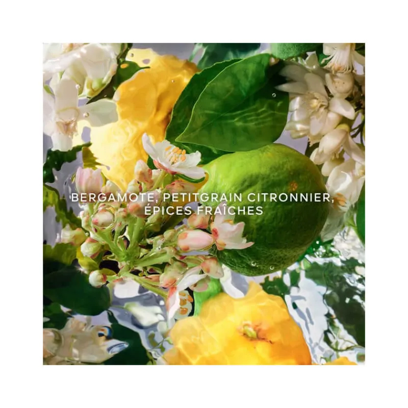 Femme Guerlain Eau De Parfum^Aqua Allegoria Bergamote Calabria