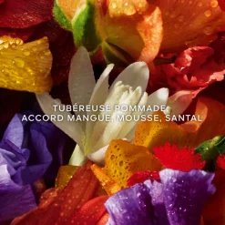 Femme Guerlain Coffret Parfum Femme^Aqua Allegoria Florabloom Forte - Coffret Noël 2025