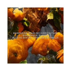 Femme Guerlain Eau De Parfum^Aqua Allegoria Forte Mandarine Basilic