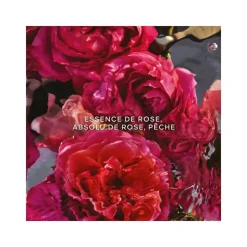 Femme Guerlain Eau De Parfum^Aqua Allegoria Forte Rosa Rossa