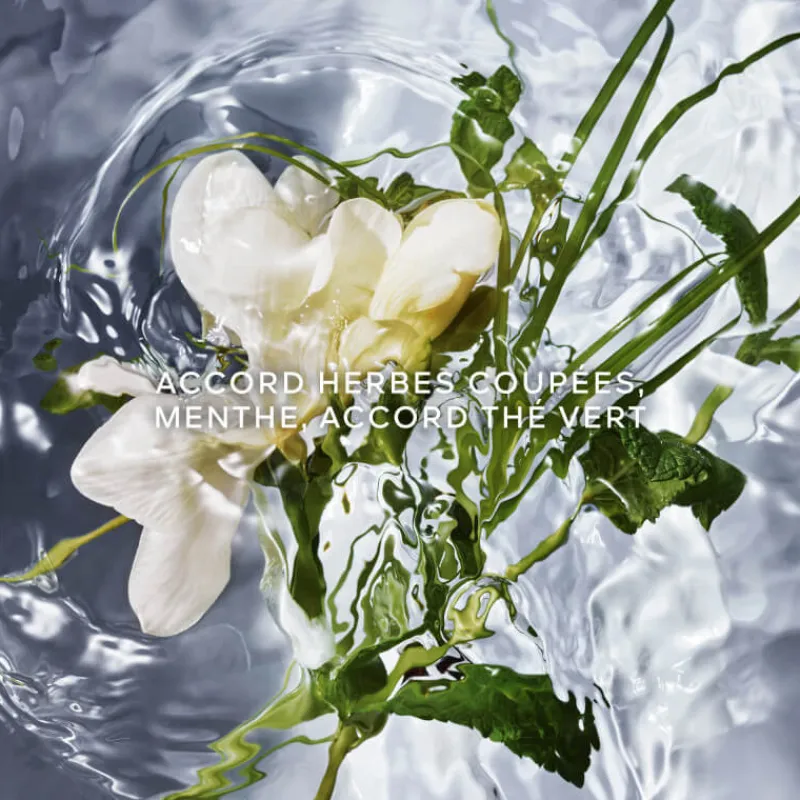 Femme Guerlain Eau De Parfum^Aqua Allegoria Herba Fresca