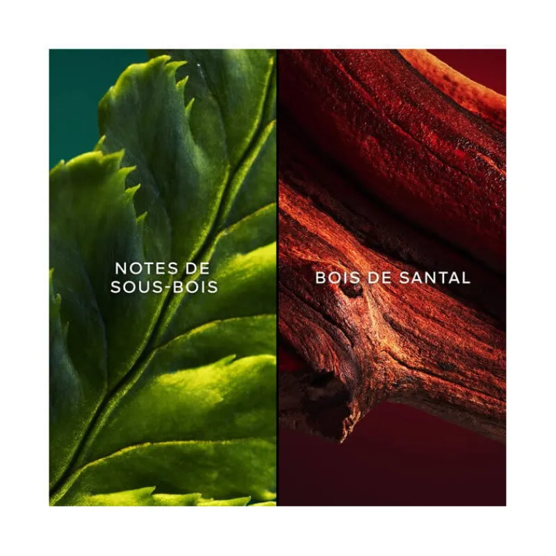 Femme Guerlain Eau De Toilette^Chant d'Aromes