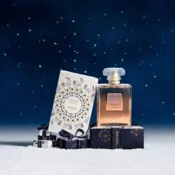 Femme Chanel Coffret Parfum Femme^COCO MADEMOISELLE - Édition Limitée 2025 | Avenue des Parfums