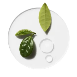 Clinique Visage^Concentré Yeux