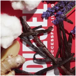 Homme Diesel Eau De Toilette^D by