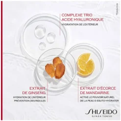 Shiseido Visage^Essential Energy