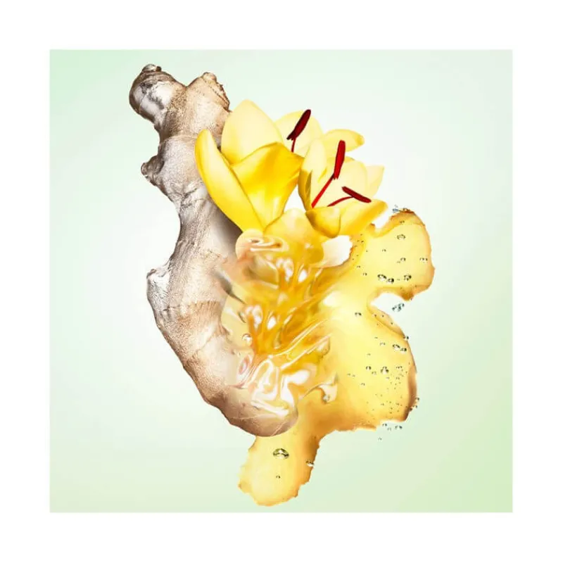 Femme Prada Eau De Parfum^Infusion de Gingembre