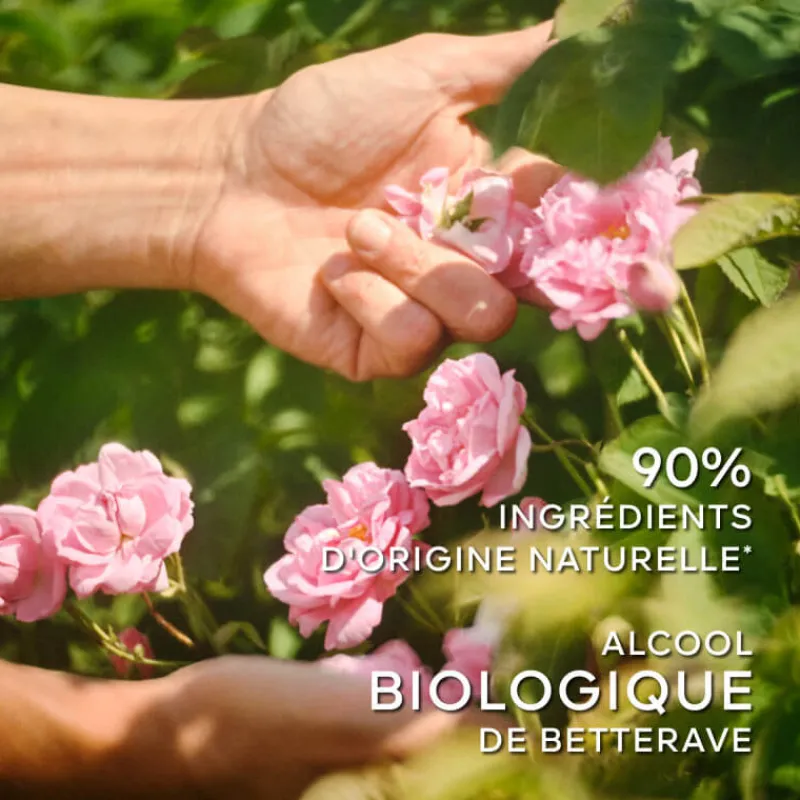 Femme Guerlain Eau De Toilette^La Petite Robe Noire