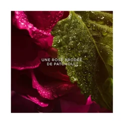 Femme Guerlain Eau De Parfum^La Petite Robe Noire