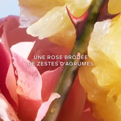 Femme Guerlain Coffret Parfum Femme^la Petite Robe Noire - Coffret Noël 2025