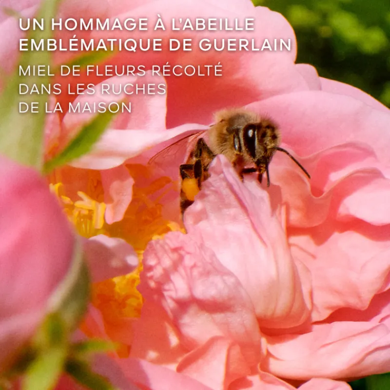 Femme Guerlain Eau De Parfum^la Petite Robe Noire Honey Rose - Édition Limitée