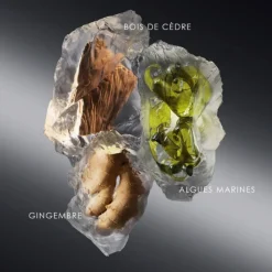 Homme Issey Miyake Eau De Toilette^le Sel D'issey