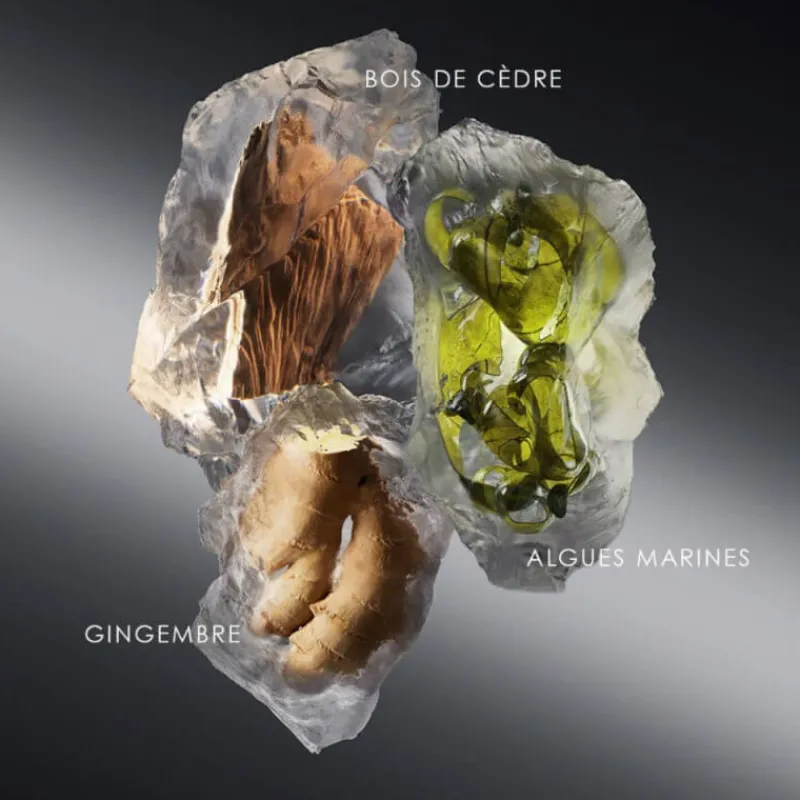 Homme Issey Miyake Eau De Toilette^le Sel D'issey