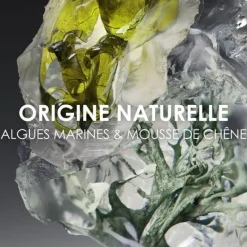 Homme Issey Miyake Eau De Toilette^le Sel D'issey