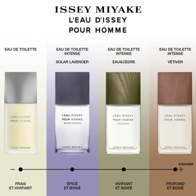 Homme Issey Miyake Eau De Toilette^L'Eau d'Issey Pour Homme