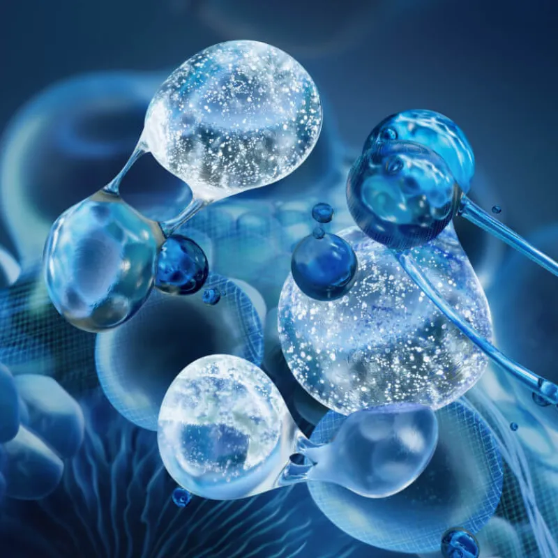 Biotherm Visage^Life Plankton Regenerating