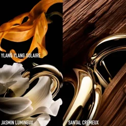 Femme Rabanne Eau De Parfum^Million Gold For Her