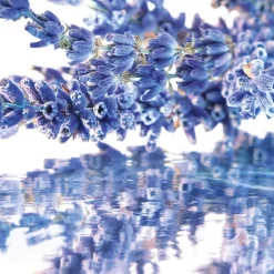 Femme Guerlain Coffret Parfum Femme^Mon - Coffret Noël 2025