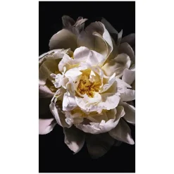 Femme Yves Saint Laurent Eau De Toilette^Mon Paris Lumière