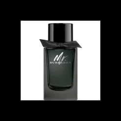 Homme Burberry Eau De Parfum^Mr
