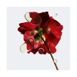 Chanel Visage^N°1 DE | Avenue des Parfums