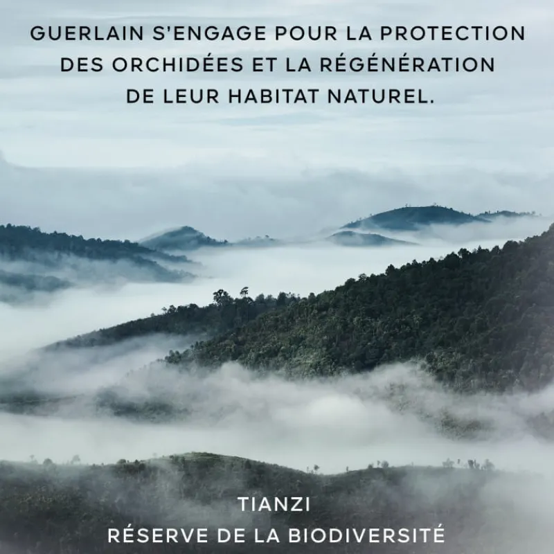 Guerlain Visage^Orchidée Impériale