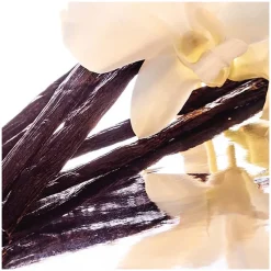 Femme Guerlain Eau De Toilette^Shalimar