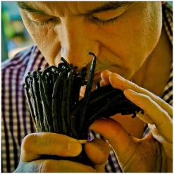 Femme Guerlain Eau De Toilette^Shalimar