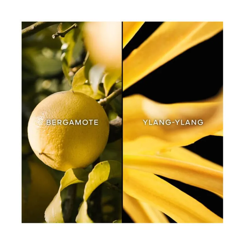 Femme Guerlain Eau De Toilette^Terracotta