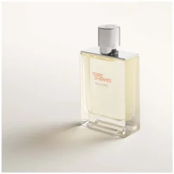 Homme HERMÈS Eau De Parfum^Terre d'Hermès Eau Givrée