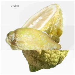 Homme HERMÈS Eau De Parfum^Terre d'Hermès Eau Givrée