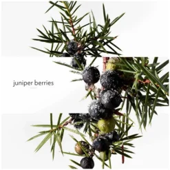 Homme HERMÈS Eau De Parfum^Terre d'Hermès Eau Givrée