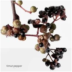 Homme HERMÈS Eau De Parfum^Terre d'Hermès Eau Givrée