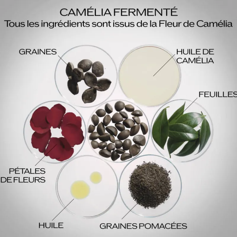 Shiseido Visage^Ultimune