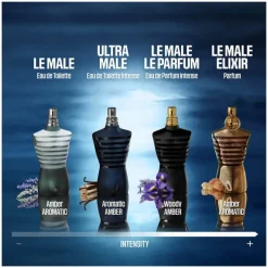 Homme Jean Paul Gaultier Eau De Toilette^Ultra Male