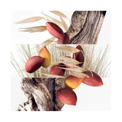 Femme HERMÈS Eau De Toilette|Eau De Toilette^Un Jardin à Cythère