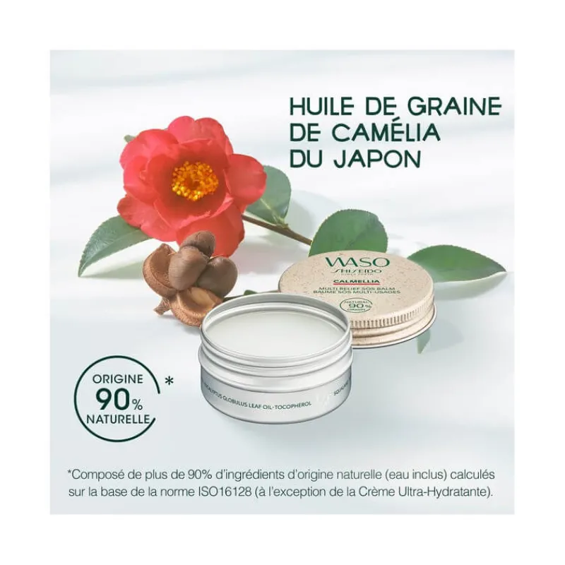 Shiseido Corps|Visage^Waso