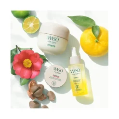 Shiseido Corps|Visage^Waso