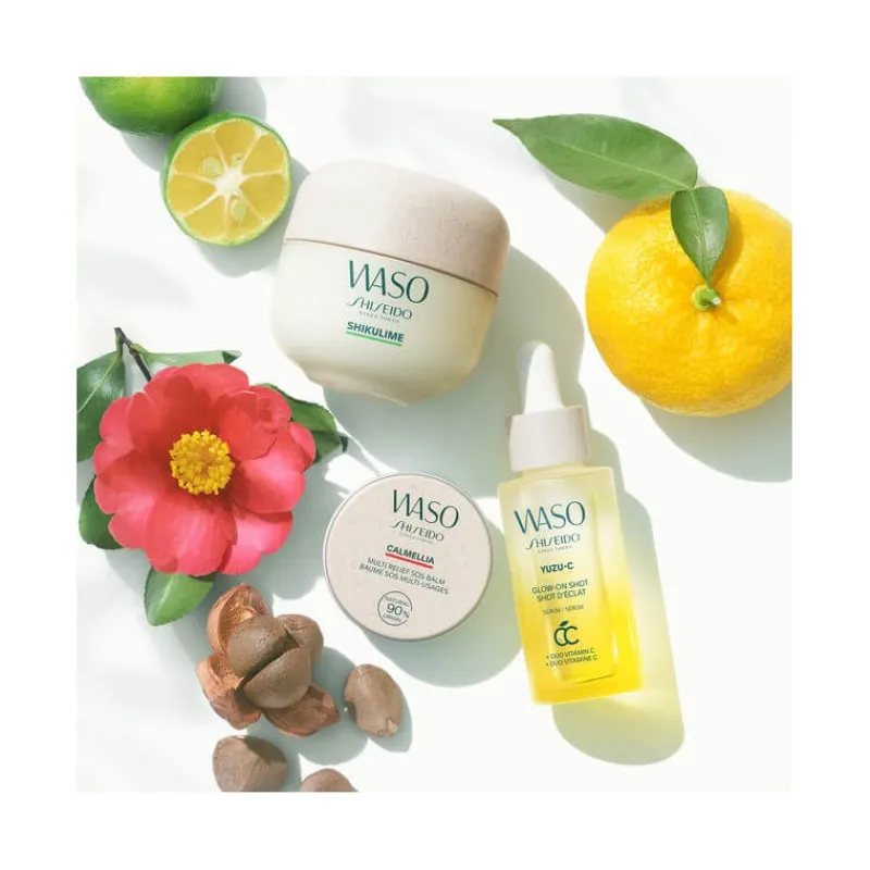 Shiseido Corps|Visage^Waso