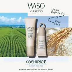 Shiseido Teint^Waso Koshirice