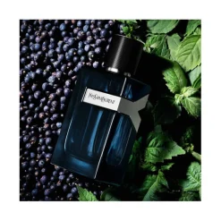 Homme Yves Saint Laurent Eau De Parfum^Y Men