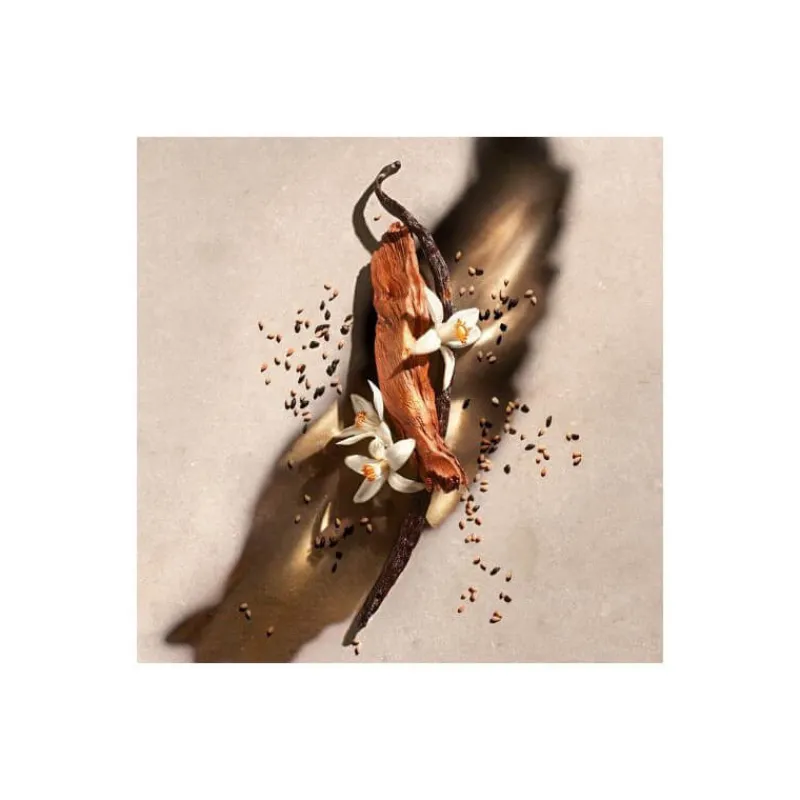 Femme Zadig & Voltaire Corps|Bain Et Douche^Zadig