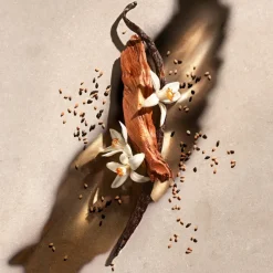 Femme Zadig & Voltaire Coffret Parfum Femme^ZADIG - Coffret Noël 2025