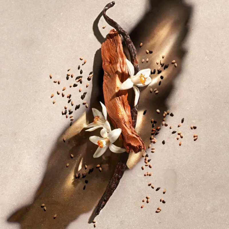 Femme Zadig & Voltaire Coffret Parfum Femme^ZADIG - Coffret Noël 2025